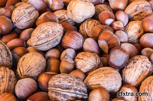 Stock Photos - Nuts 3, 25xJPG