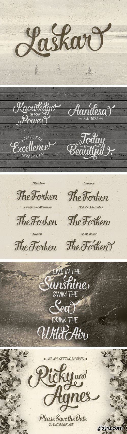 Laskar Font Family - 2 Fonts for $16