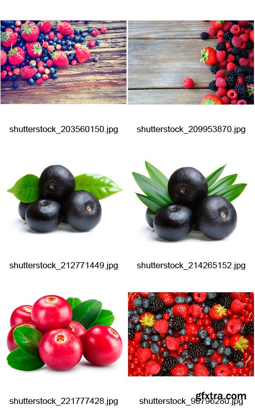 Amazing SS - Ripe Berries, 25xJPGs