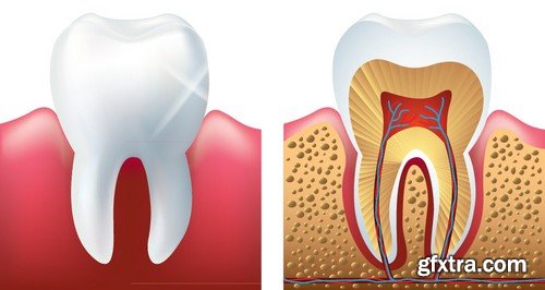 Stock Vectors - Teeth 3, 25xEPS