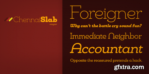 Chennai Slab Font Family 12xTTF+OTF $132