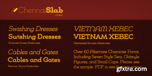 Chennai Slab Font Family 12xTTF+OTF $132