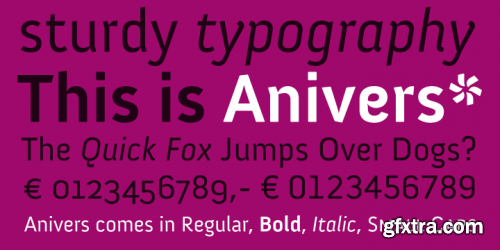 Anivers Font Family 4xOTF+TTF $25