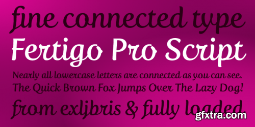 Fertigo Pro Script Font Family 1xOTF+TTF $20