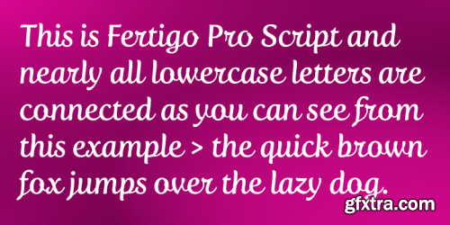 Fertigo Pro Script Font Family 1xOTF+TTF $20