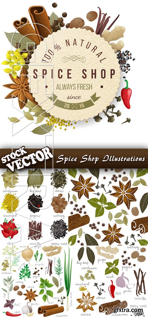 Stock Vector - Spice Shop Illustrations