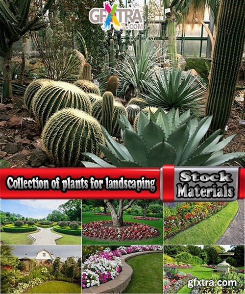 Collection of plants for landscaping 25 UHQ Jpeg