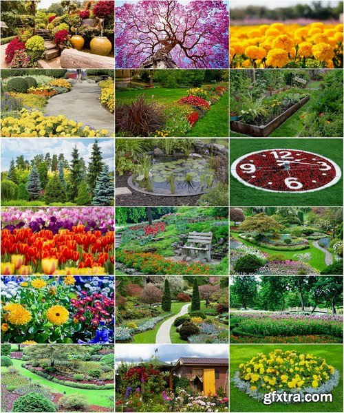 Collection of plants for landscaping 25 UHQ Jpeg