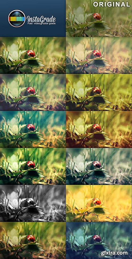 Videohive InstaGrade - Color Correction Template 3226036