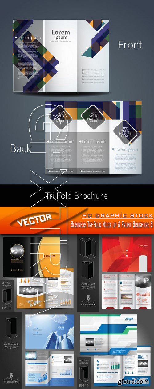 Stock Vector - Business Tri-Fold Mock up & Front Brochure 8