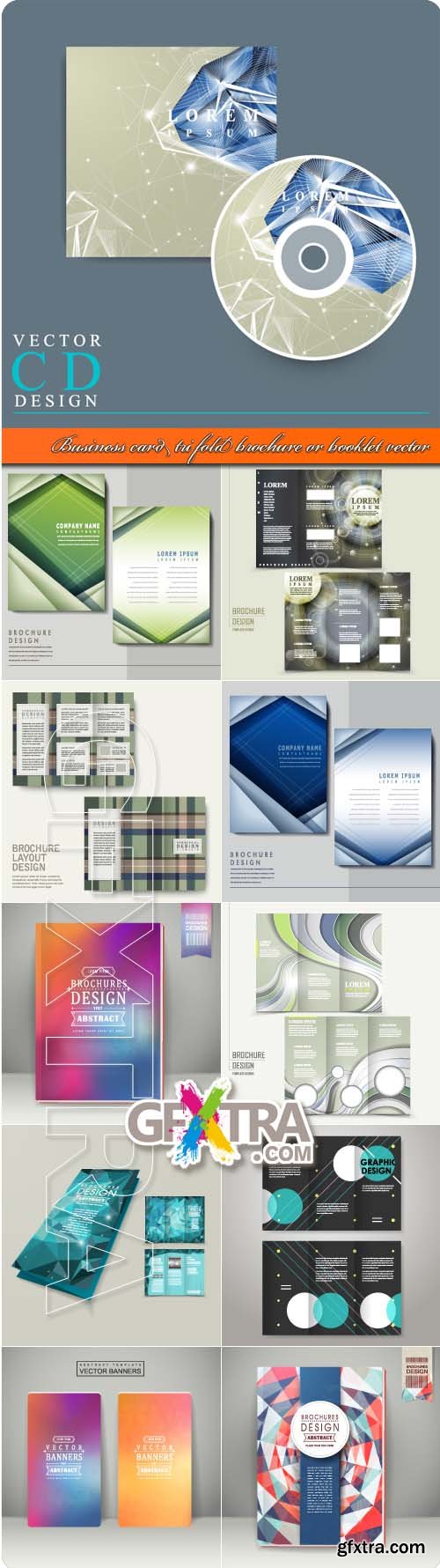 Business card tri fold brochure or booklet vector