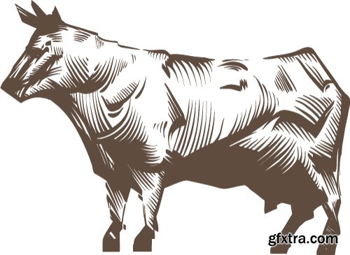 Cow Logos & Designs 25xEPS