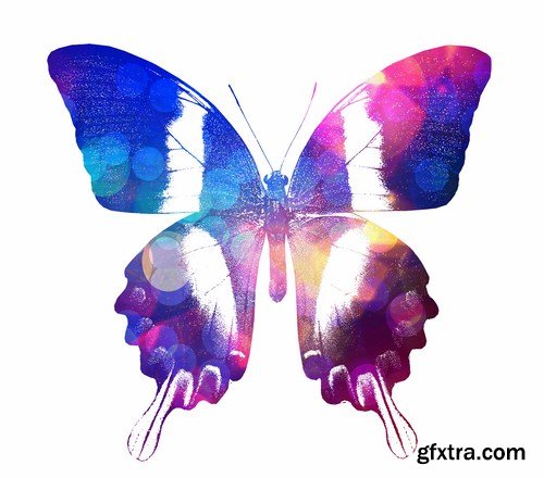 Butterfly,25 x UHQ JPEG