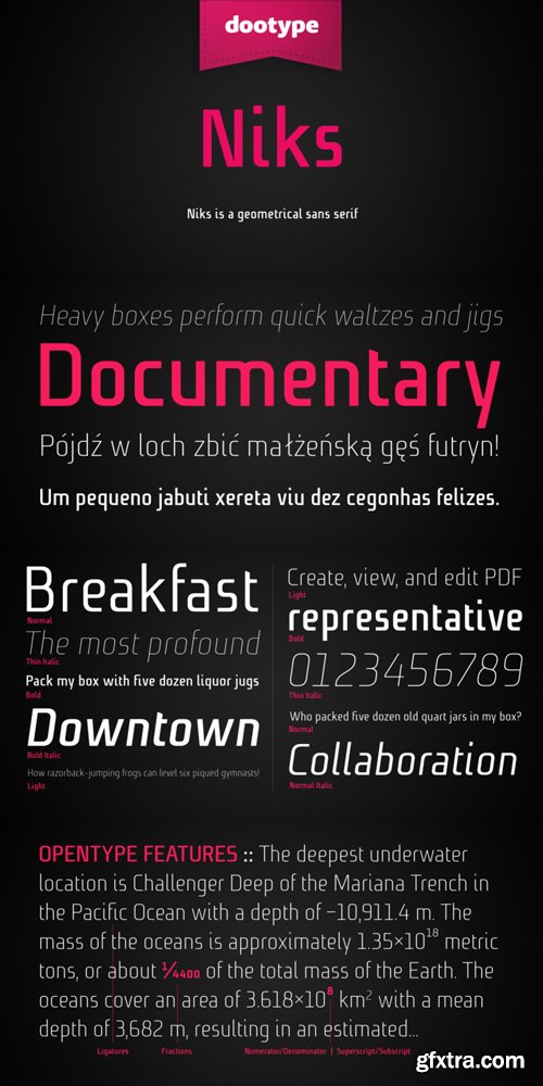 Niks Font Family $120