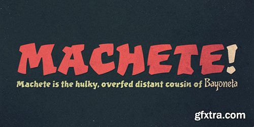 Bayoneta Pro Font - 1 Font $39