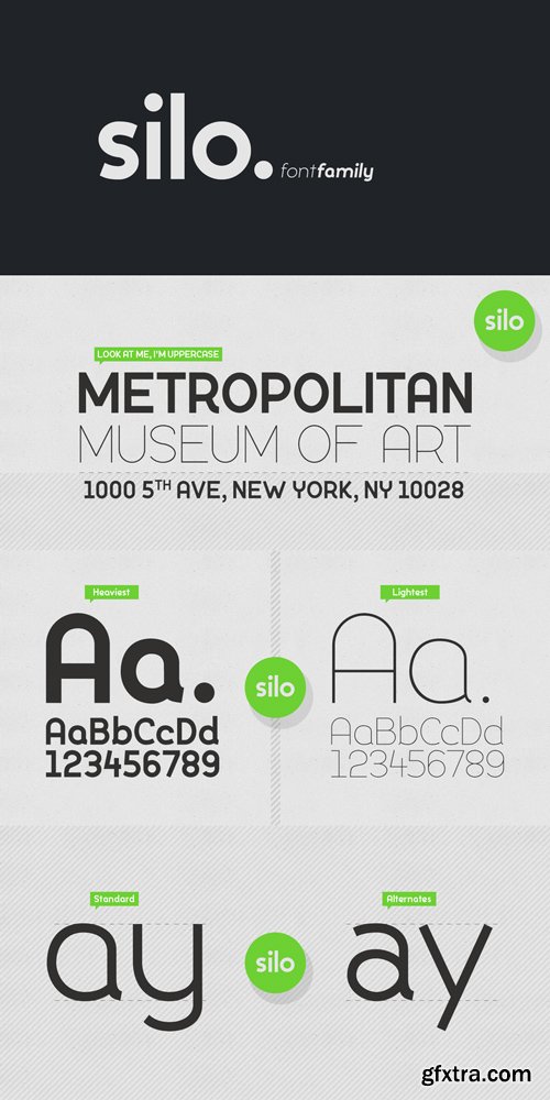 Silo Font Family $50