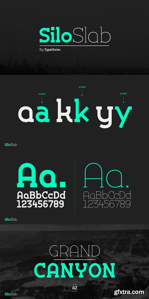 Silo Slab Font Family $100