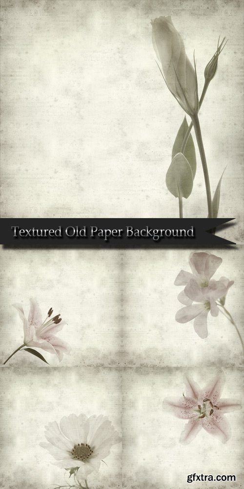 Textured Old Paper Background