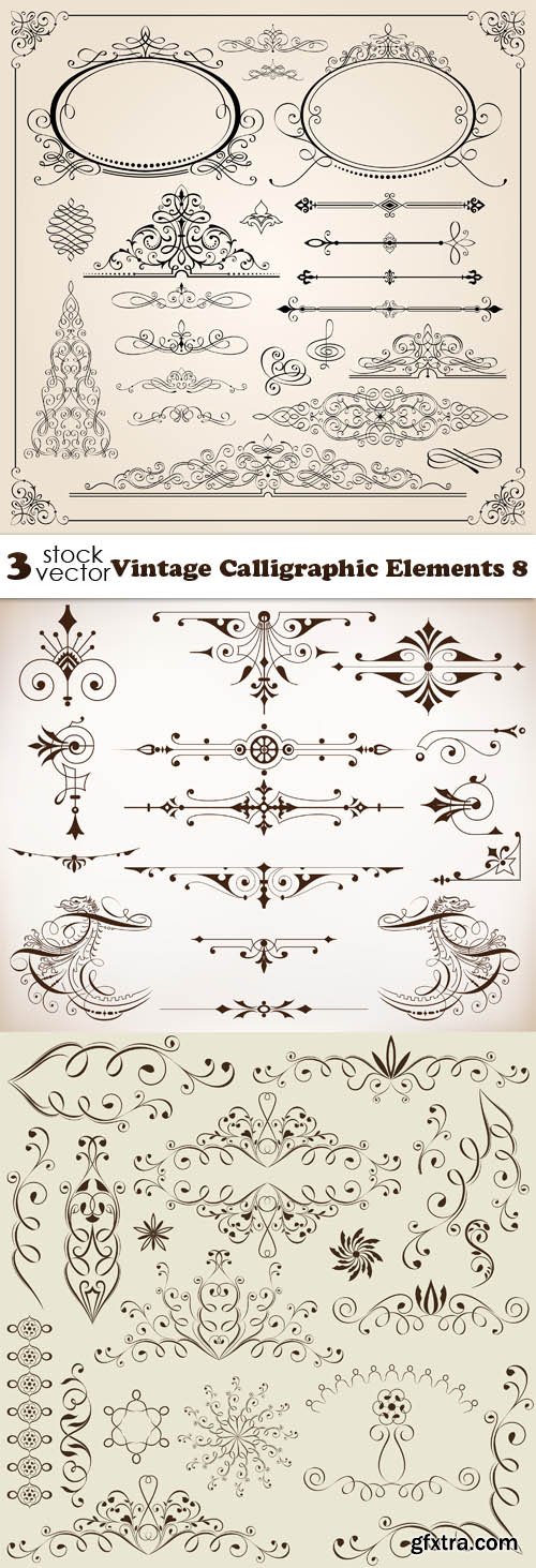 Vectors - Vintage Calligraphic Elements 8