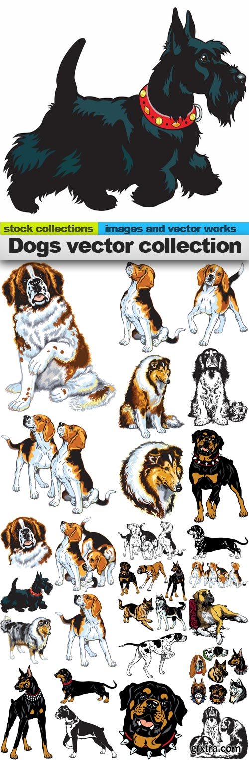 Dogs vector collection,25 x EPS