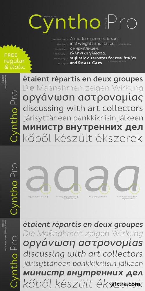 Cyntho Pro Font Family $280