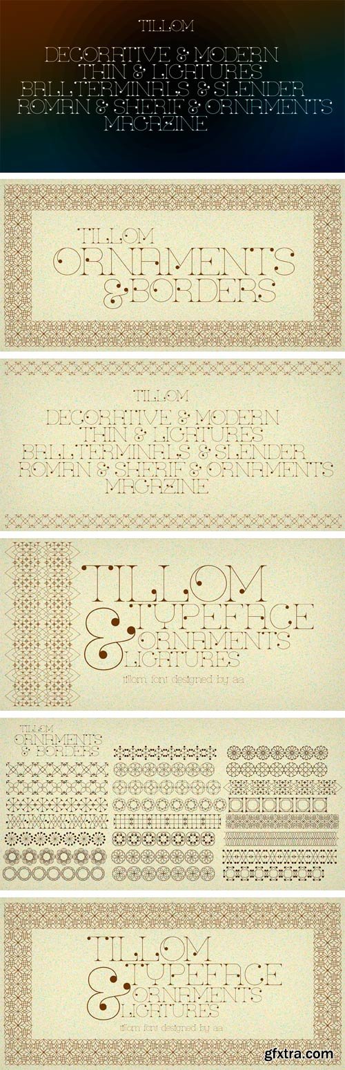 Tillom Font Family - 2 Fonts $49