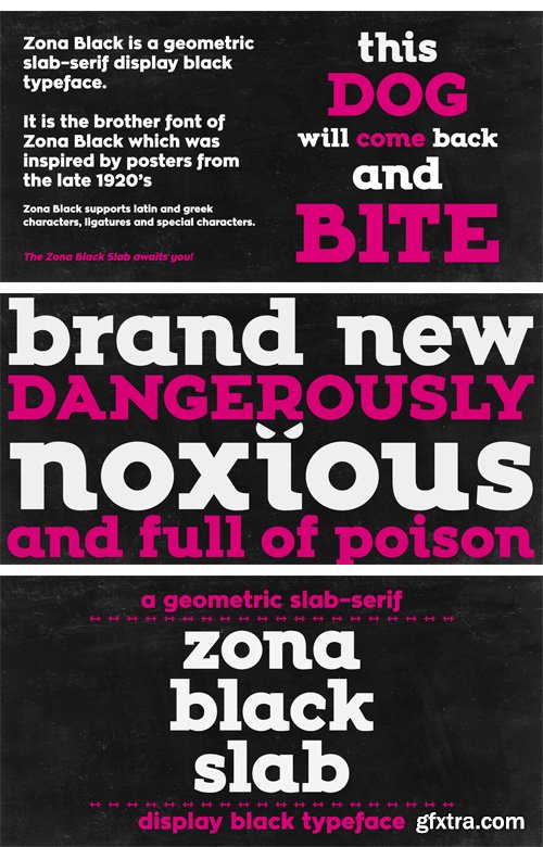 Zona Black Slab Font Family - 2 Fonts $10