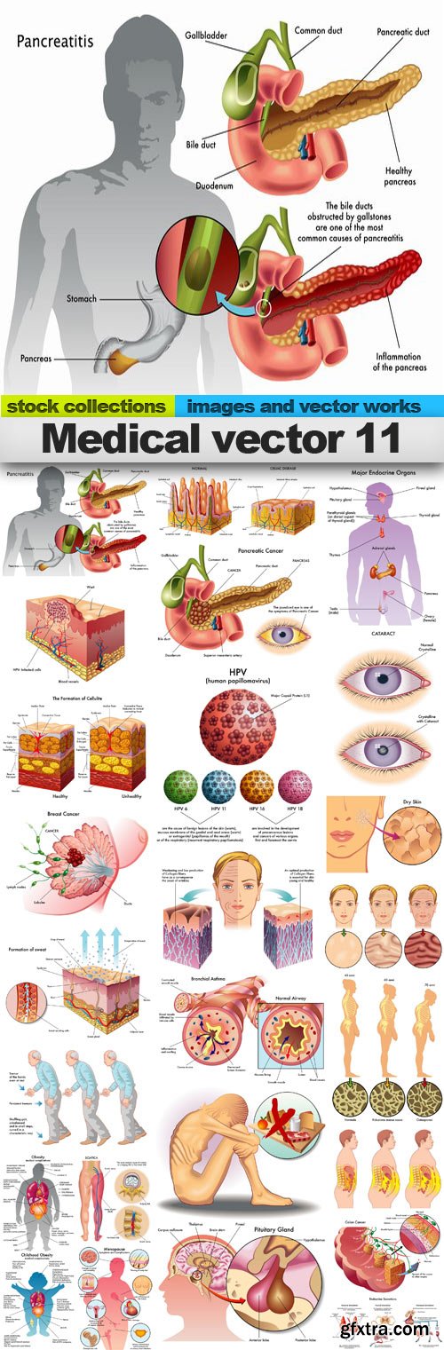 Medical vector 11,25 x EPS