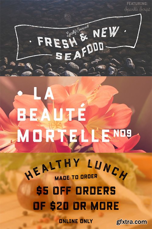 Conifer Font Family - 2 Fonts $30