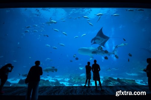 Collection of the most beautiful aquariums 25 UHQ Jpeg