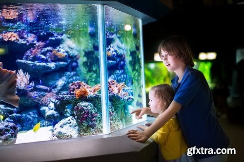 Collection of the most beautiful aquariums 25 UHQ Jpeg