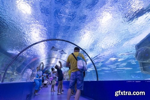 Collection of the most beautiful aquariums 25 UHQ Jpeg