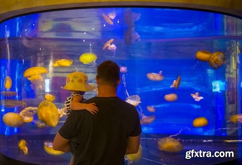 Collection of the most beautiful aquariums 25 UHQ Jpeg