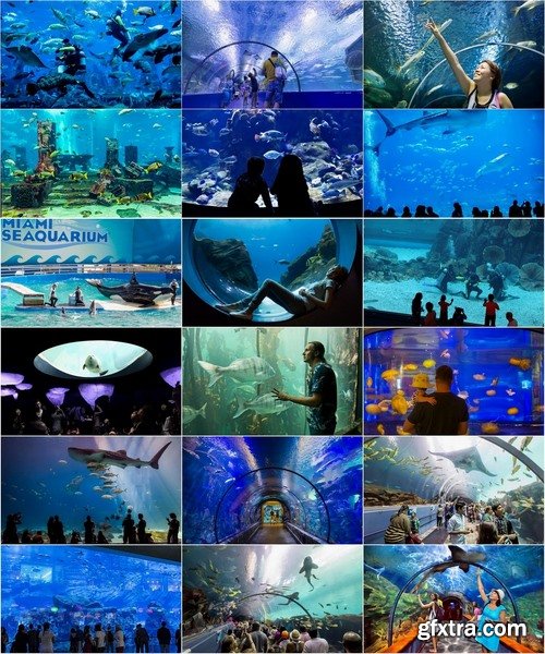 Collection of the most beautiful aquariums 25 UHQ Jpeg