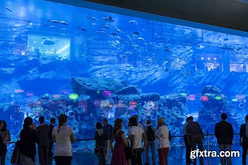 Collection of the most beautiful aquariums 25 UHQ Jpeg