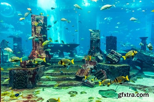 Collection of the most beautiful aquariums 25 UHQ Jpeg