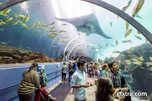 Collection of the most beautiful aquariums 25 UHQ Jpeg