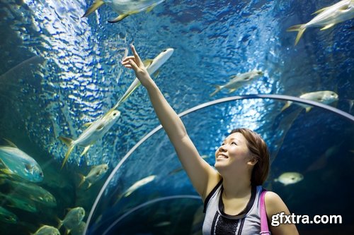 Collection of the most beautiful aquariums 25 UHQ Jpeg