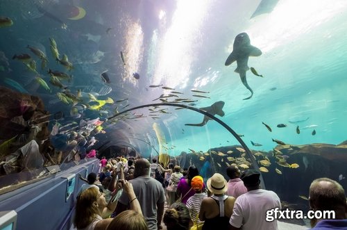 Collection of the most beautiful aquariums 25 UHQ Jpeg