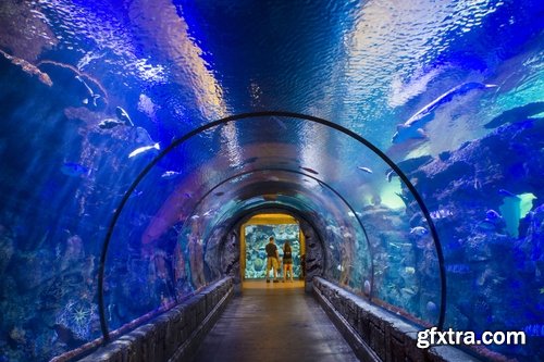 Collection of the most beautiful aquariums 25 UHQ Jpeg