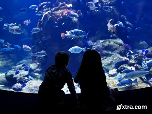 Collection of the most beautiful aquariums 25 UHQ Jpeg