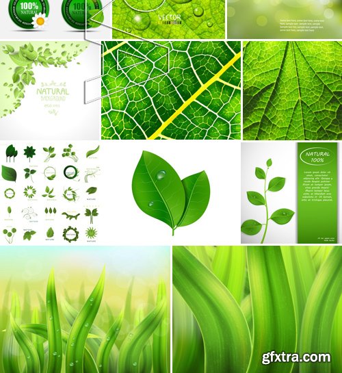 Stock Vectors - Nature and Natural concepts, 25xEPS