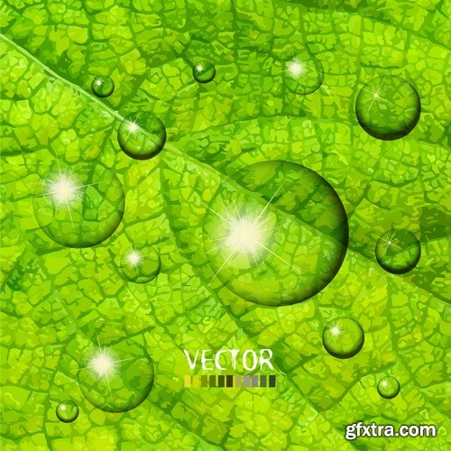 Stock Vectors - Nature and Natural concepts, 25xEPS