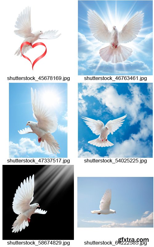 Amazing SS - Dove of Peace, 26xJPGs