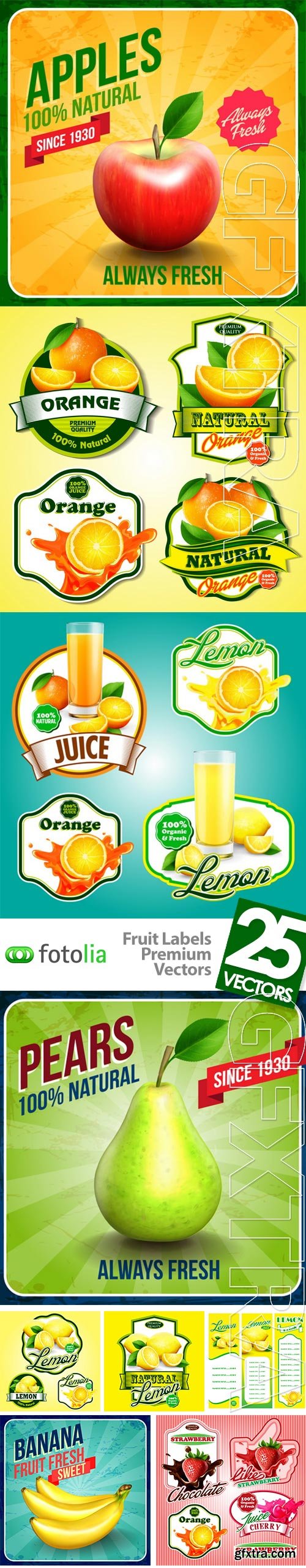 Fruit Labels Premium Vectors 25xEPS