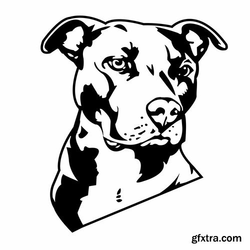 Collection of vector images pitbull 25 Eps