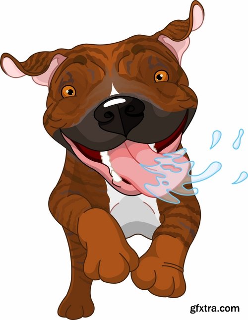 Collection of vector images pitbull 25 Eps