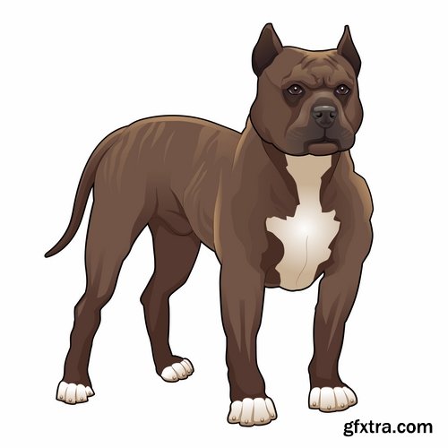 Collection of vector images pitbull 25 Eps