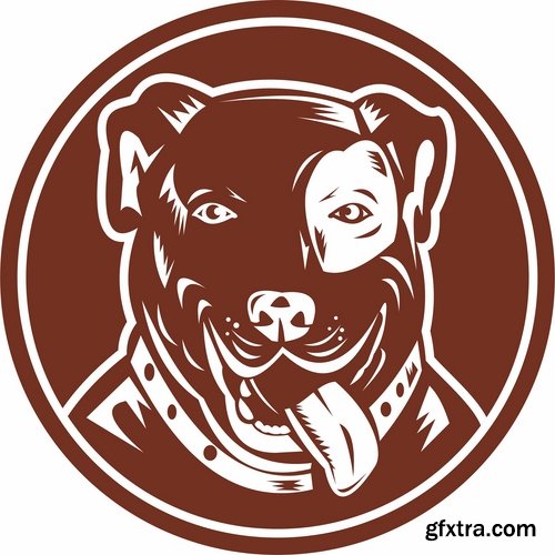 Collection of vector images pitbull 25 Eps