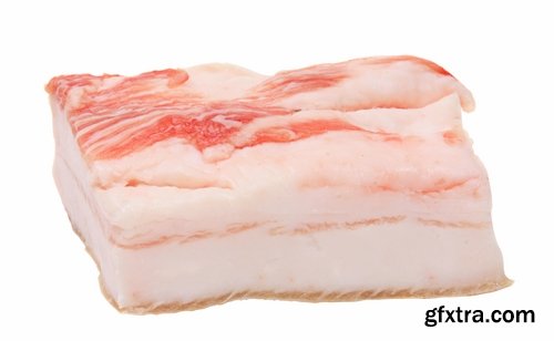 Collection of delicious lard 25 UHQ Jpeg